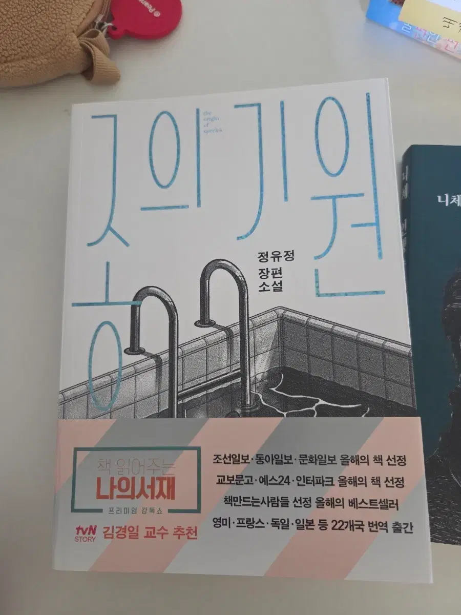 종의기원 | 브랜드 중고거래 플랫폼, 번개장터 중고거래